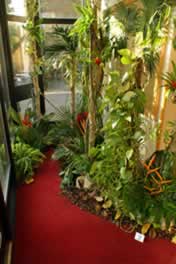 Floral display depicting a Rain Forest